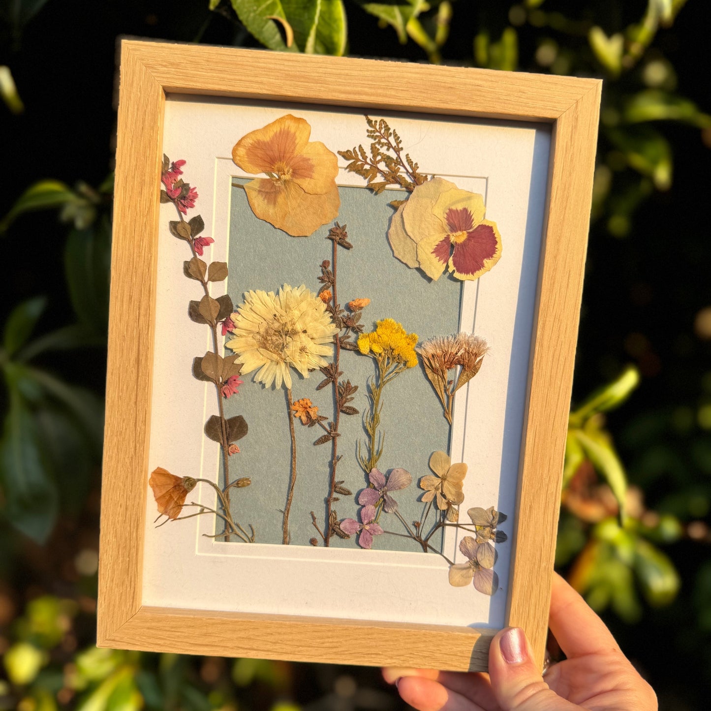 Pressed Wildflower Portrait: Golden Still