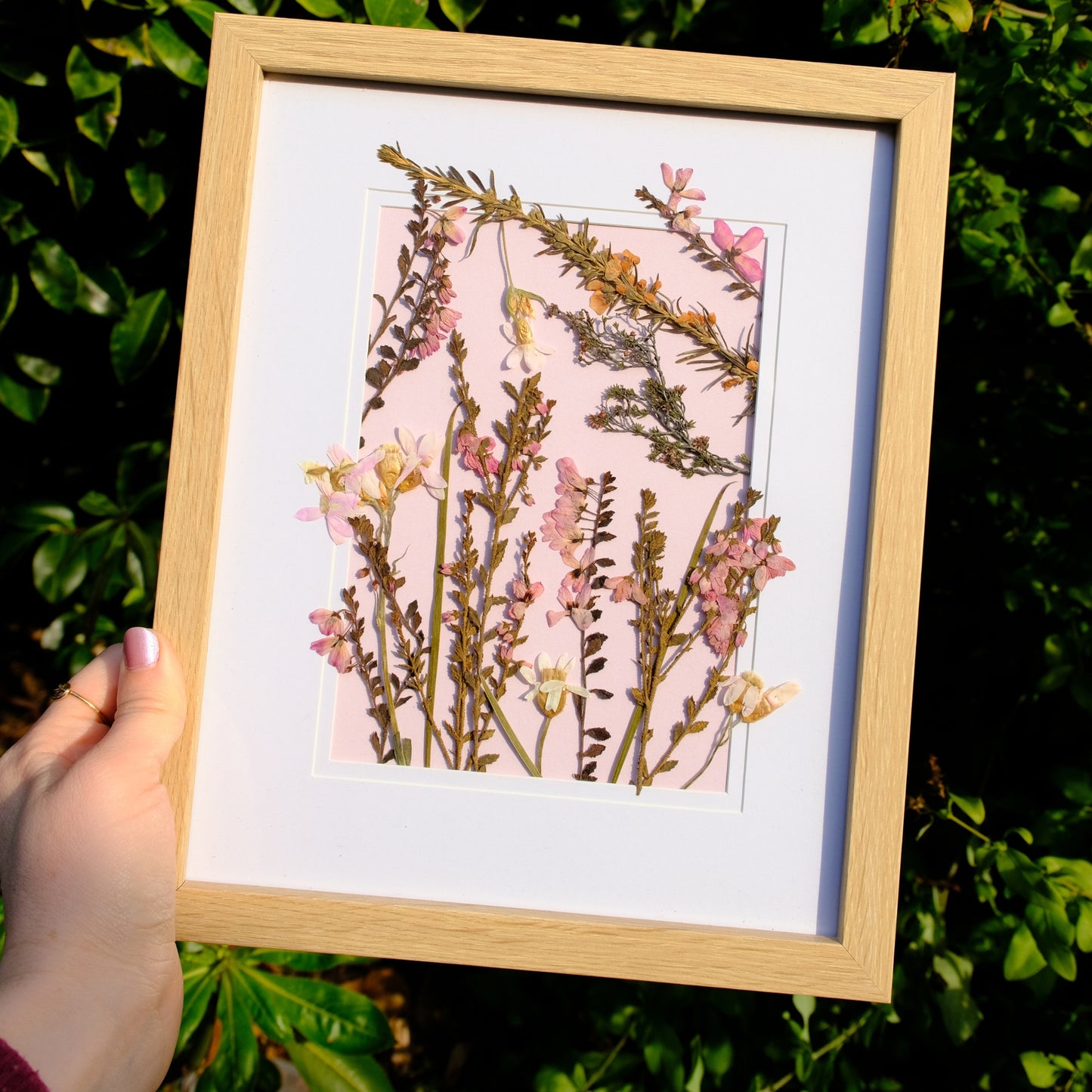 Pressed Wildflower Portrait: Rose Bloom