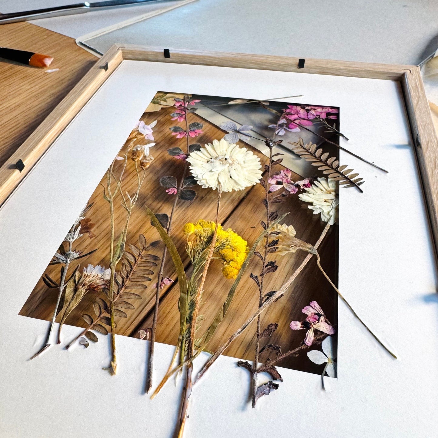Pressed Wildflower Portrait: Golden Still