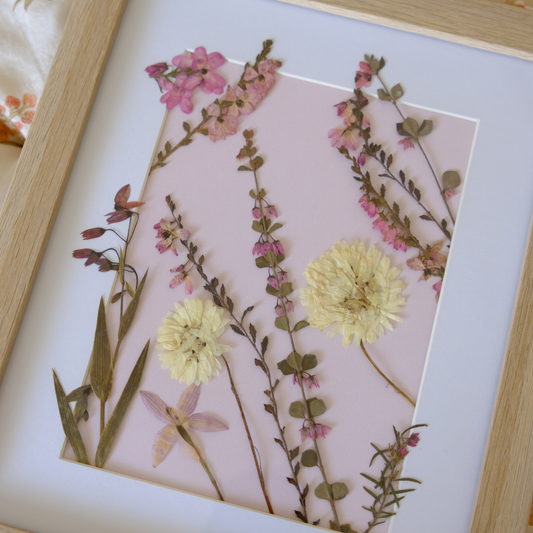Framed pressed flowers with pink and yellow blossoms on a light background