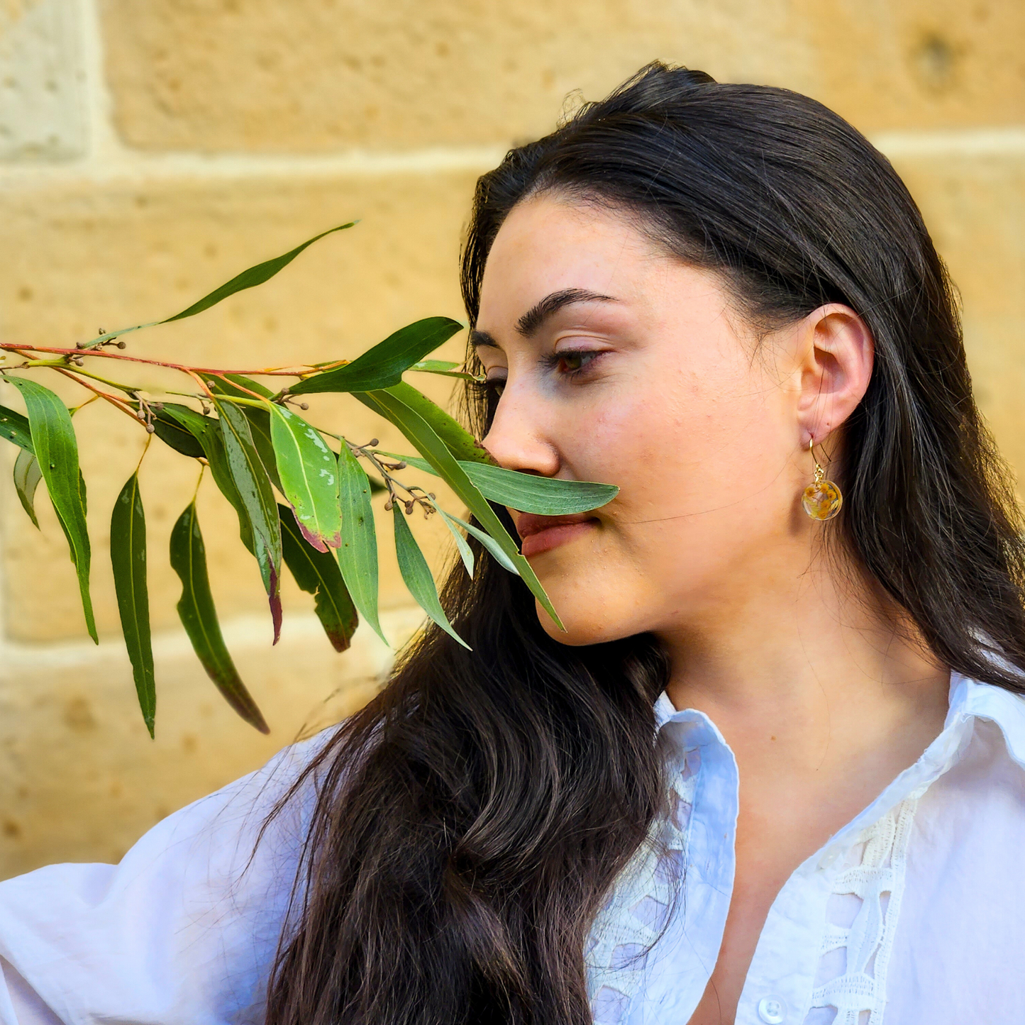 Native Wattle Set