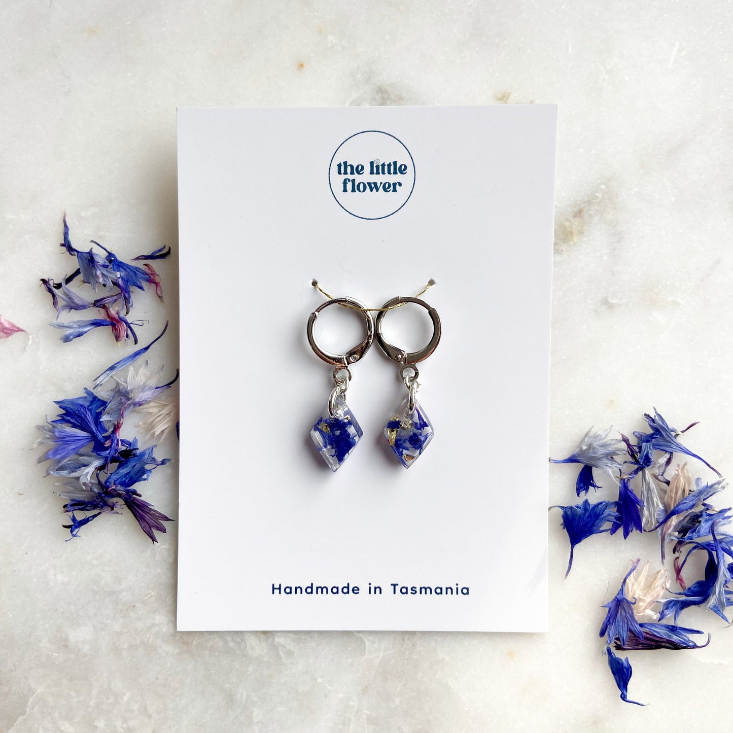 Cornflower Earrings, Huggie Jewellery, Real Flower Jewellery, Silver Plated, Frontal view