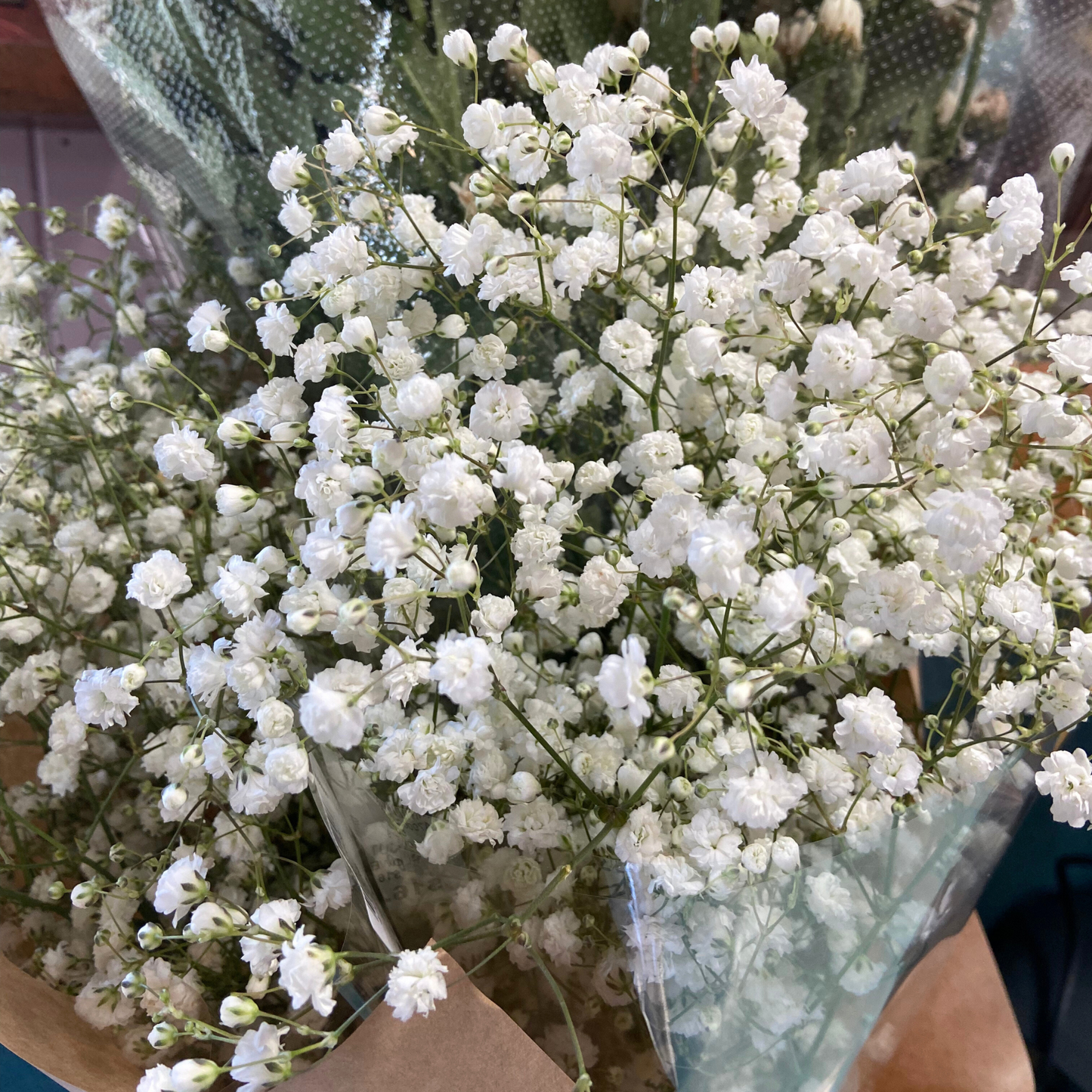 The Baby's Breath Set