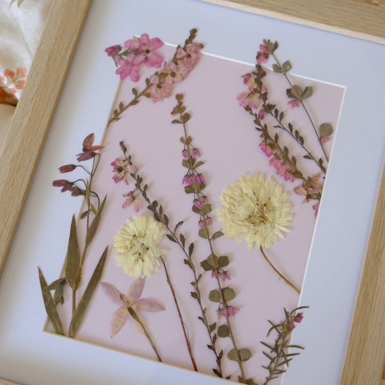 Wildflower Portraits