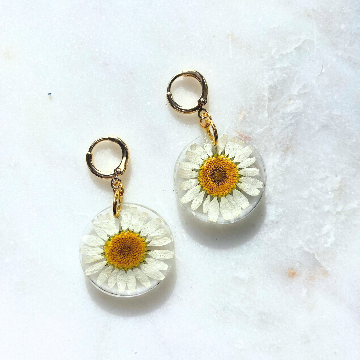 Daisy Earrings, Real Flower Huggie Earrings, Second Image