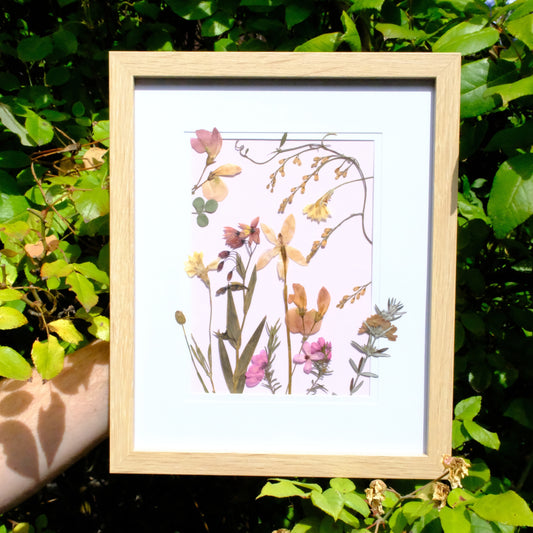 Pressed Wildflower Portrait: Native Blush
