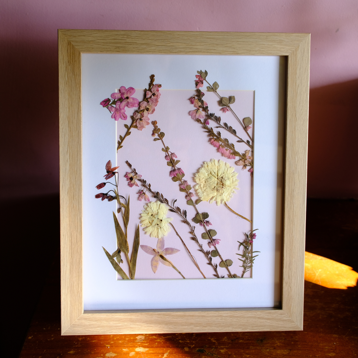 Tasmanian framed pressed wildflowers on a white background with a wooden frame.