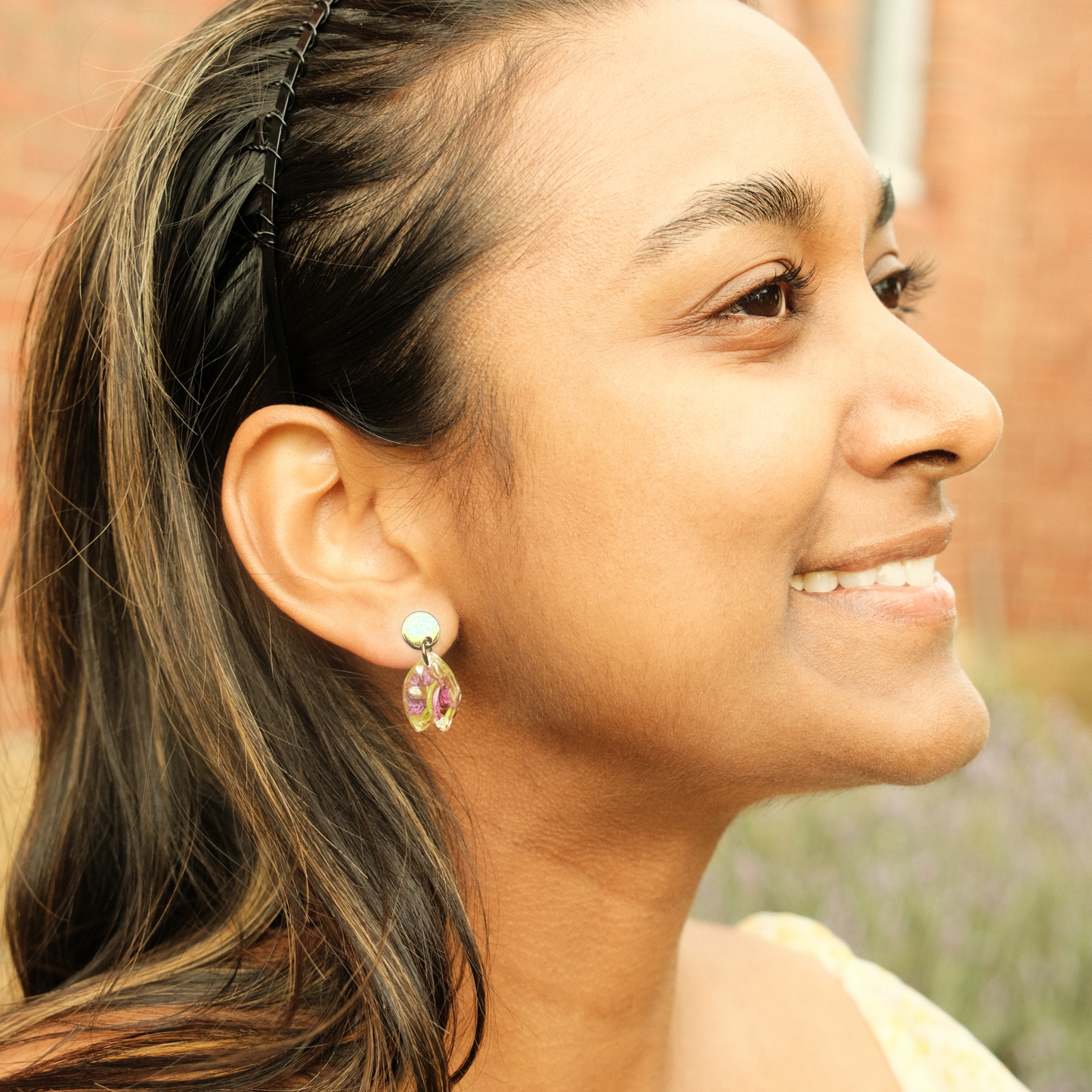 Tasmanian Lavender Studs