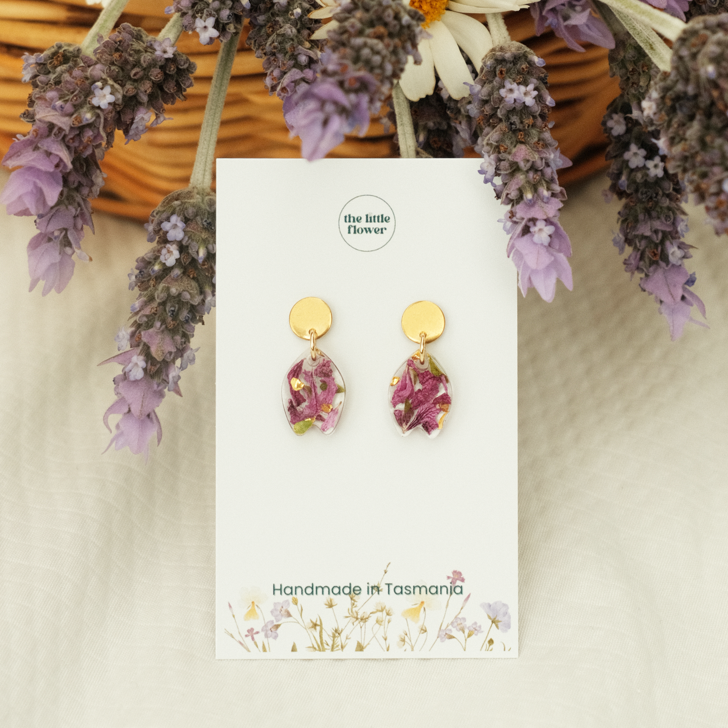 Tasmanian Lavender Studs