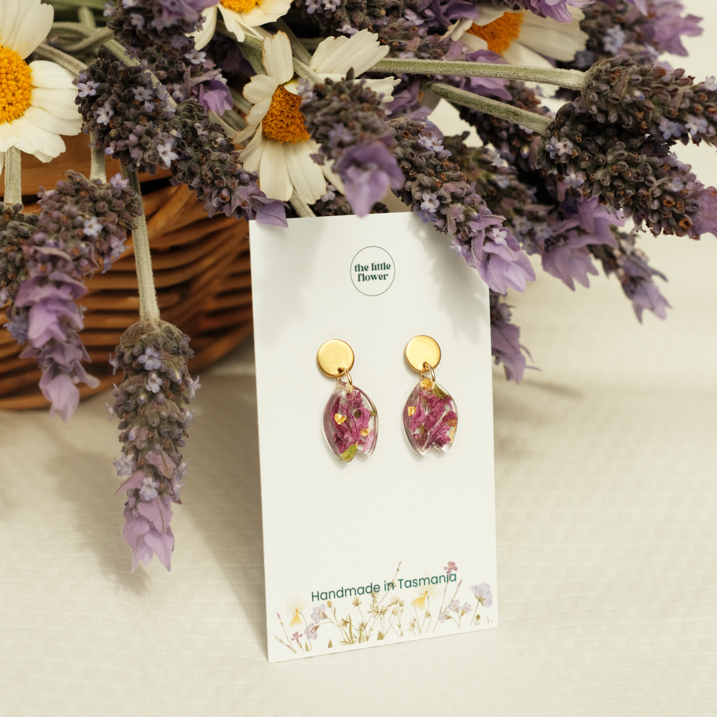 Tasmanian Lavender Studs