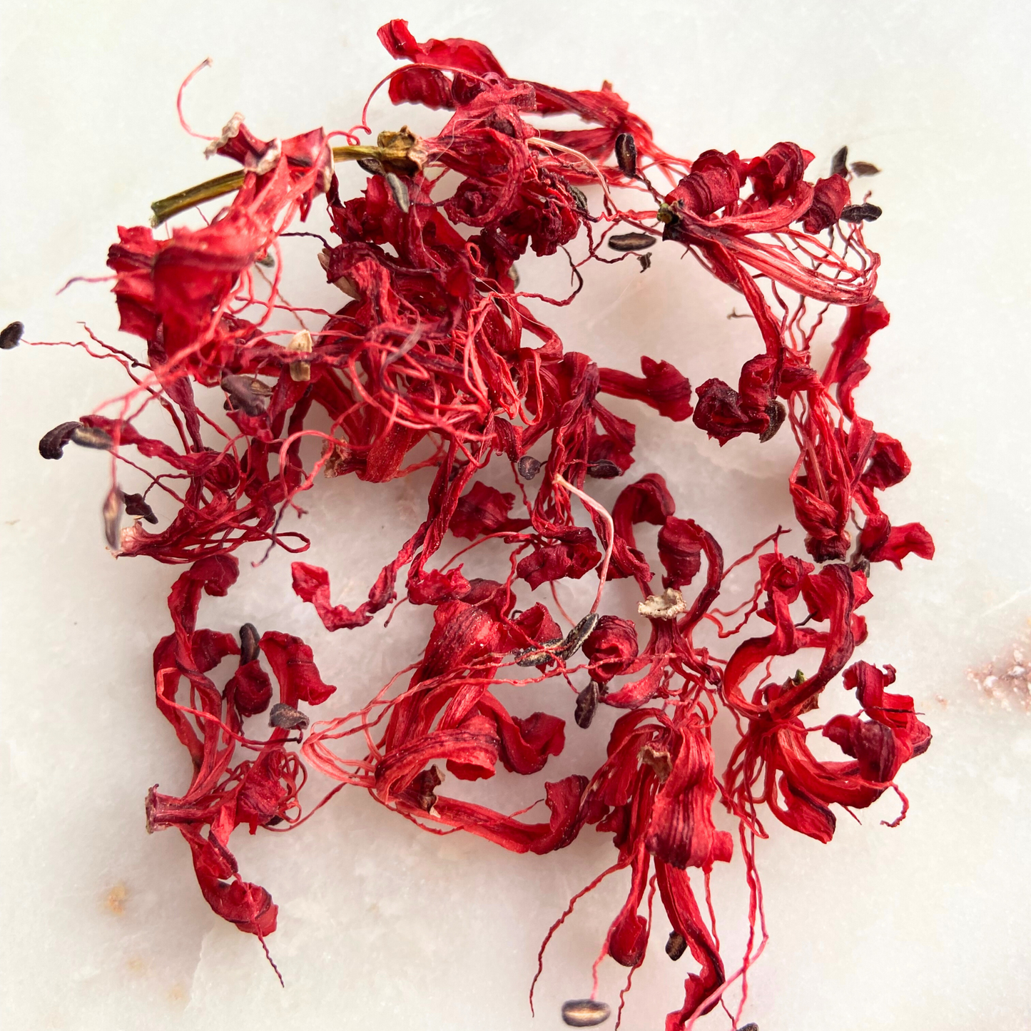 Red Spider Lilys Dried, Dried Flower Image